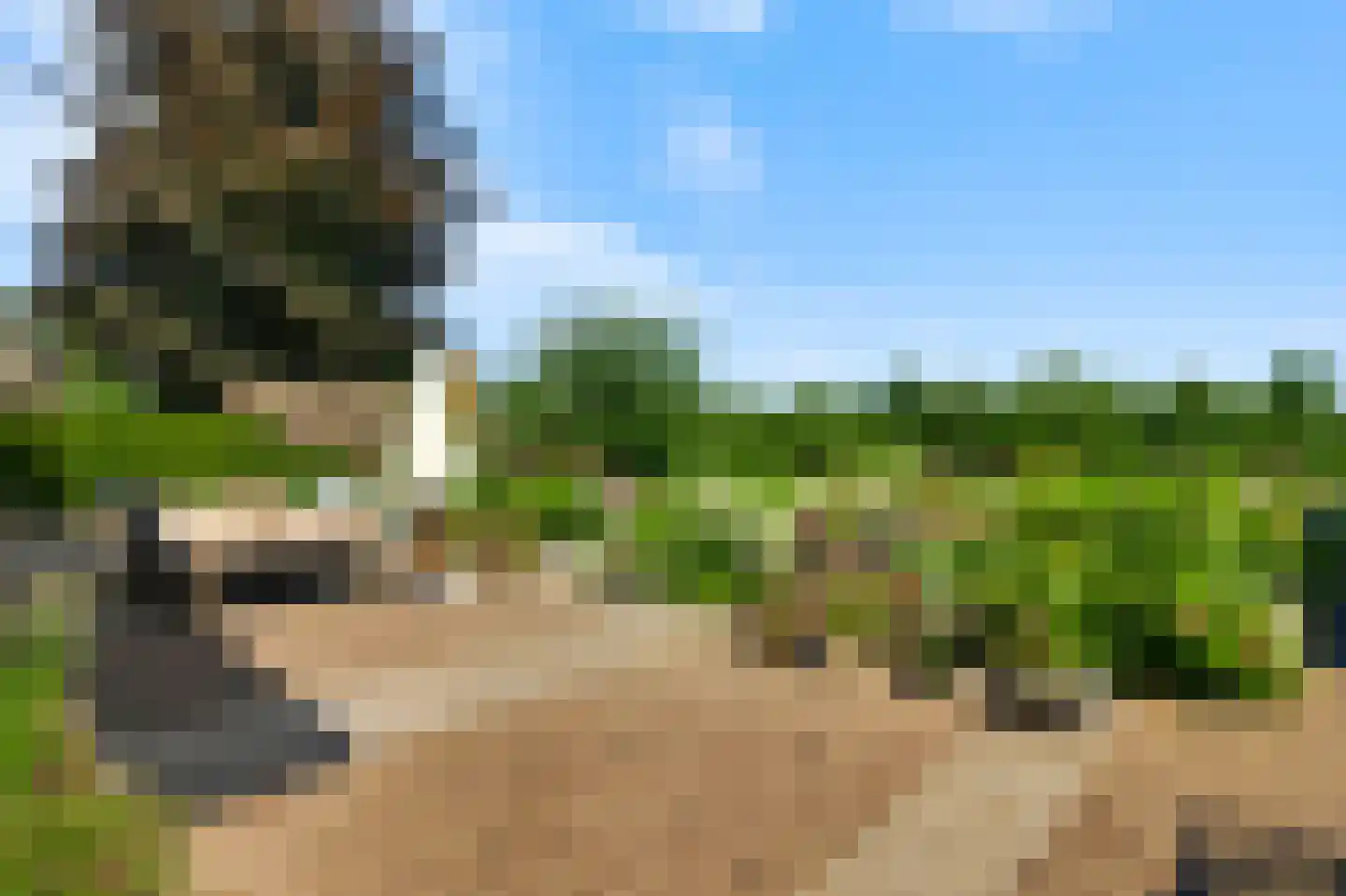 Broekstraat 23 Herten thumbnail 47