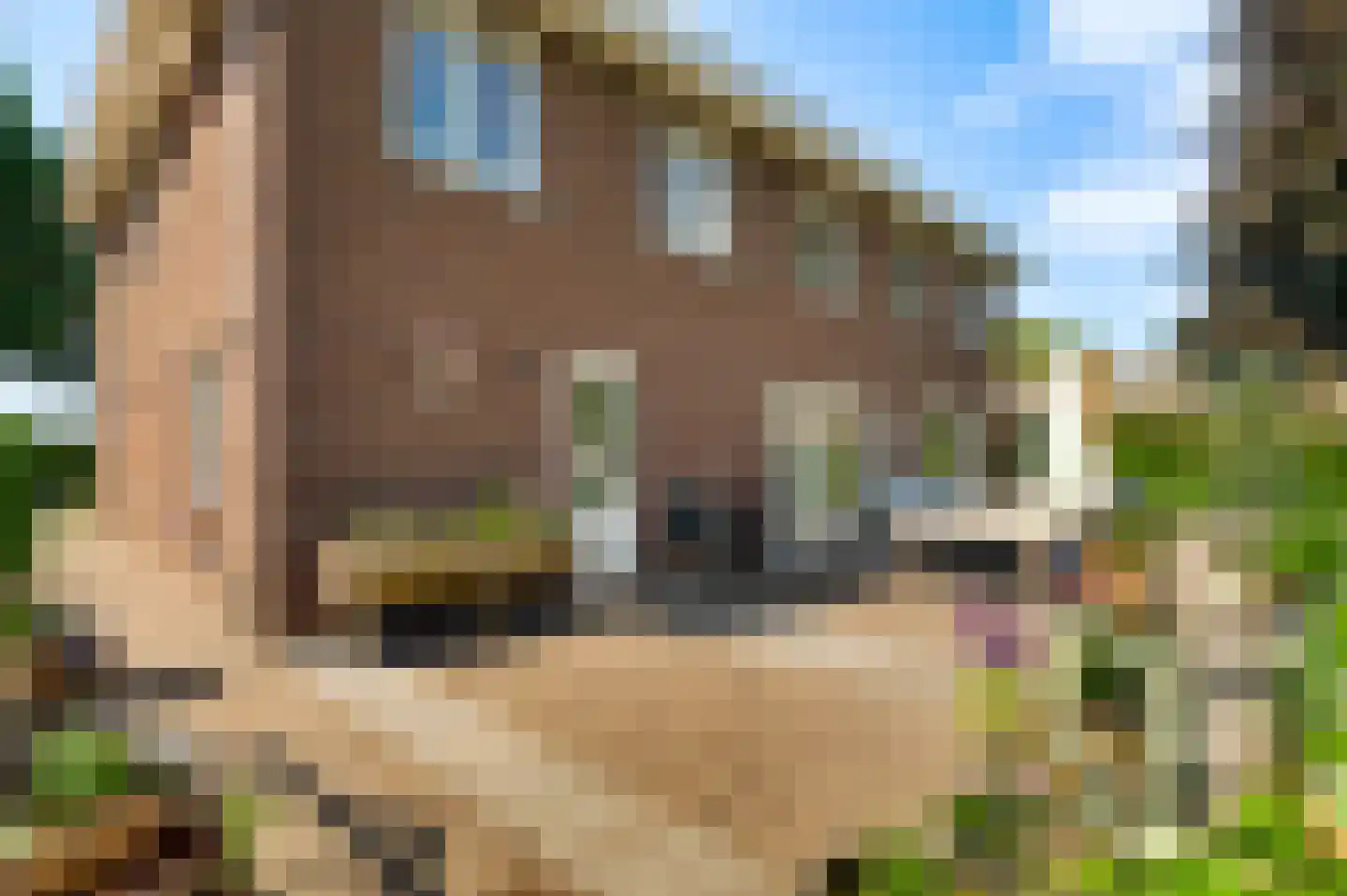 Broekstraat 23 Herten thumbnail 48