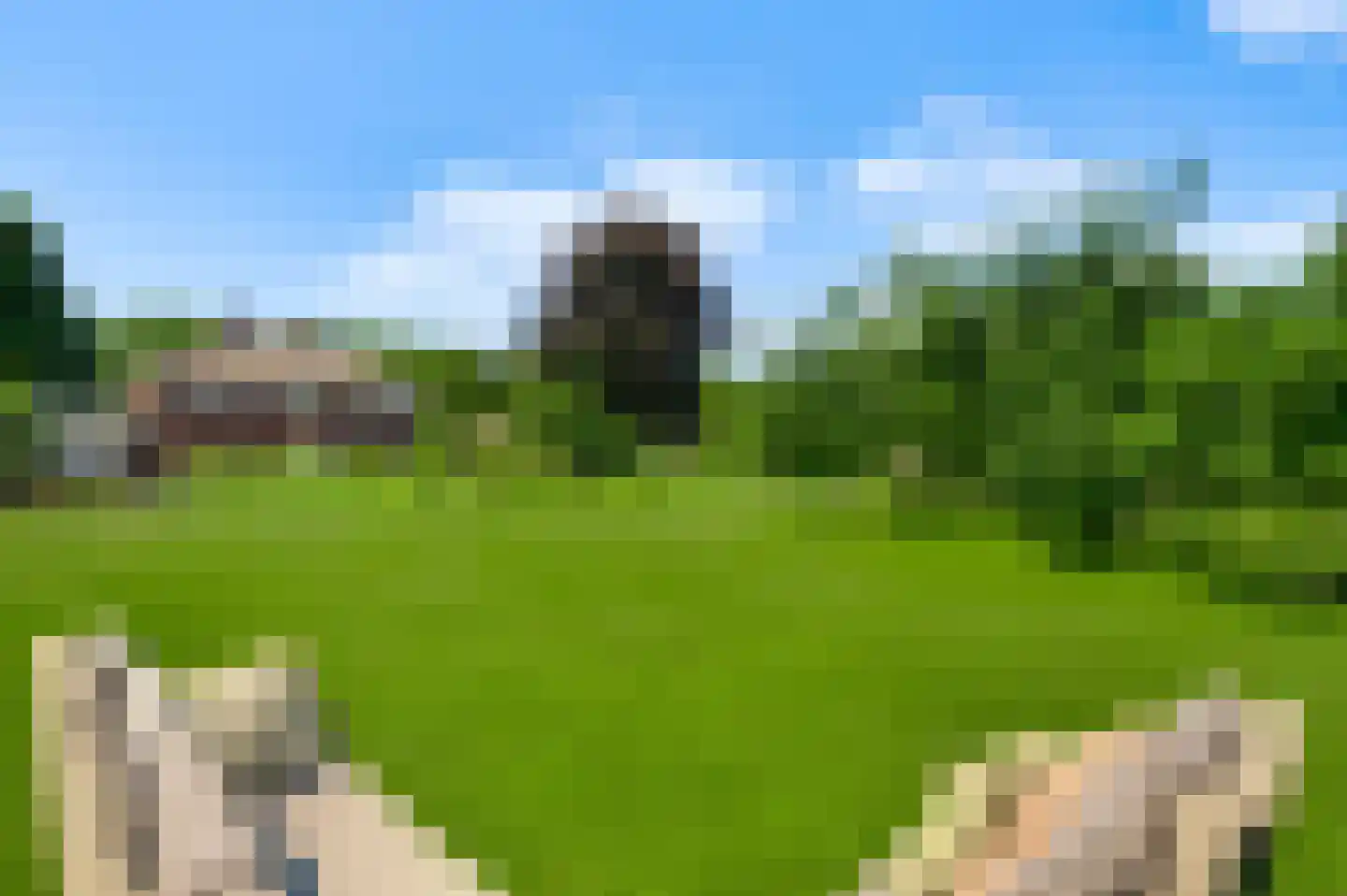 Broekstraat 23 Herten thumbnail 61