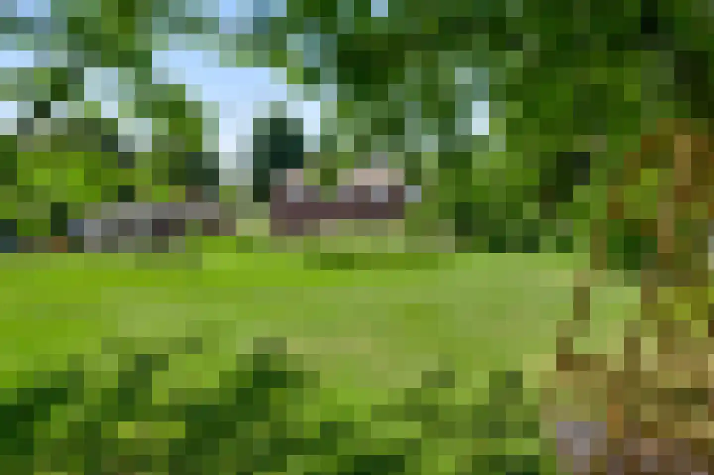 Broekstraat 23 Herten thumbnail 64