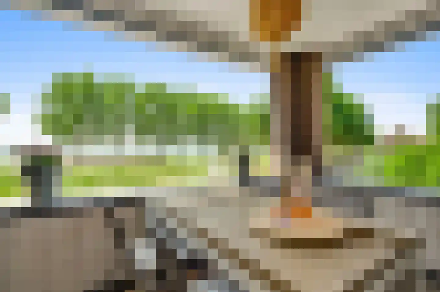 Broekstraat 23 Herten thumbnail 88