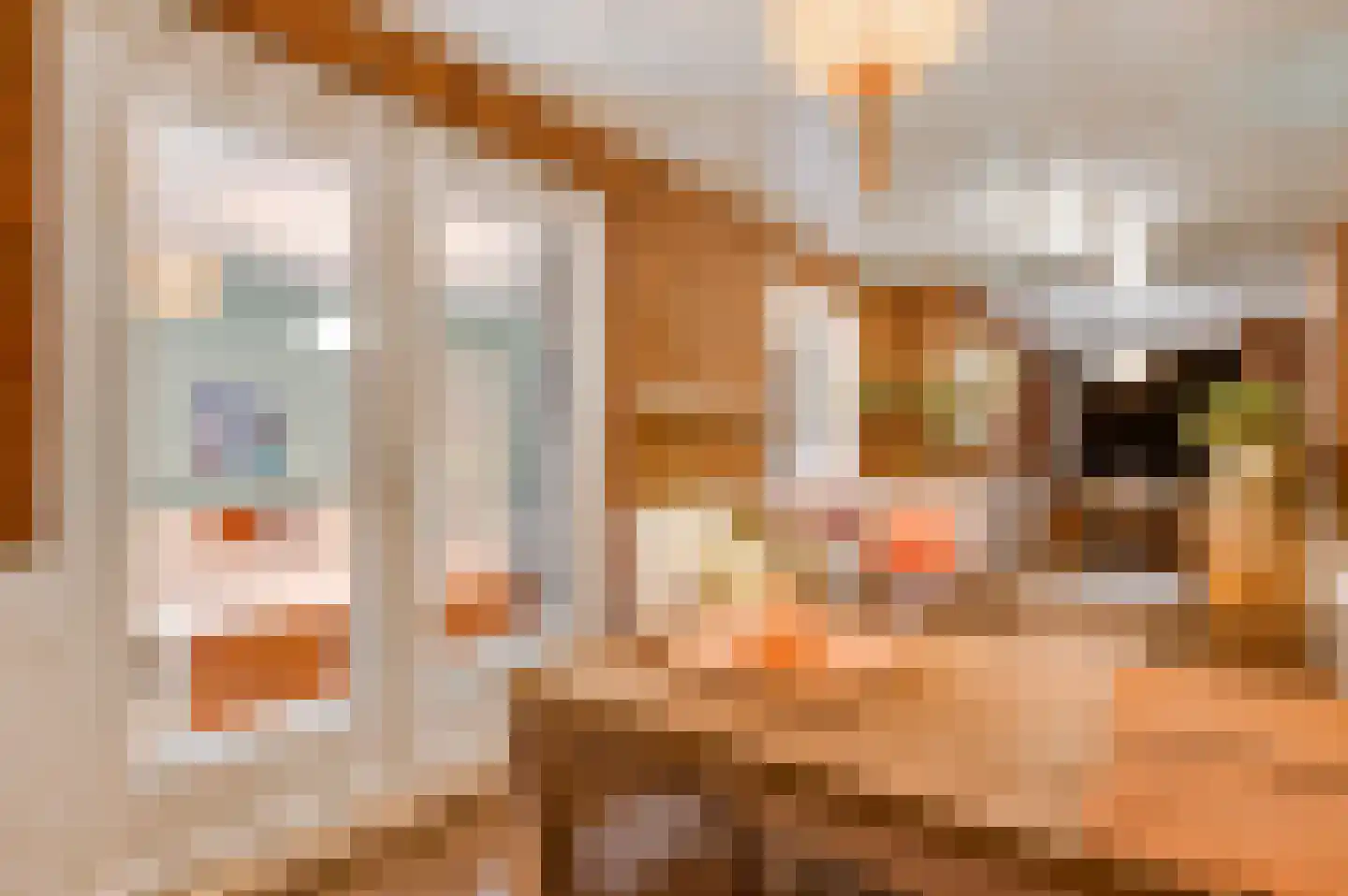 Broekstraat 23 Herten thumbnail 97