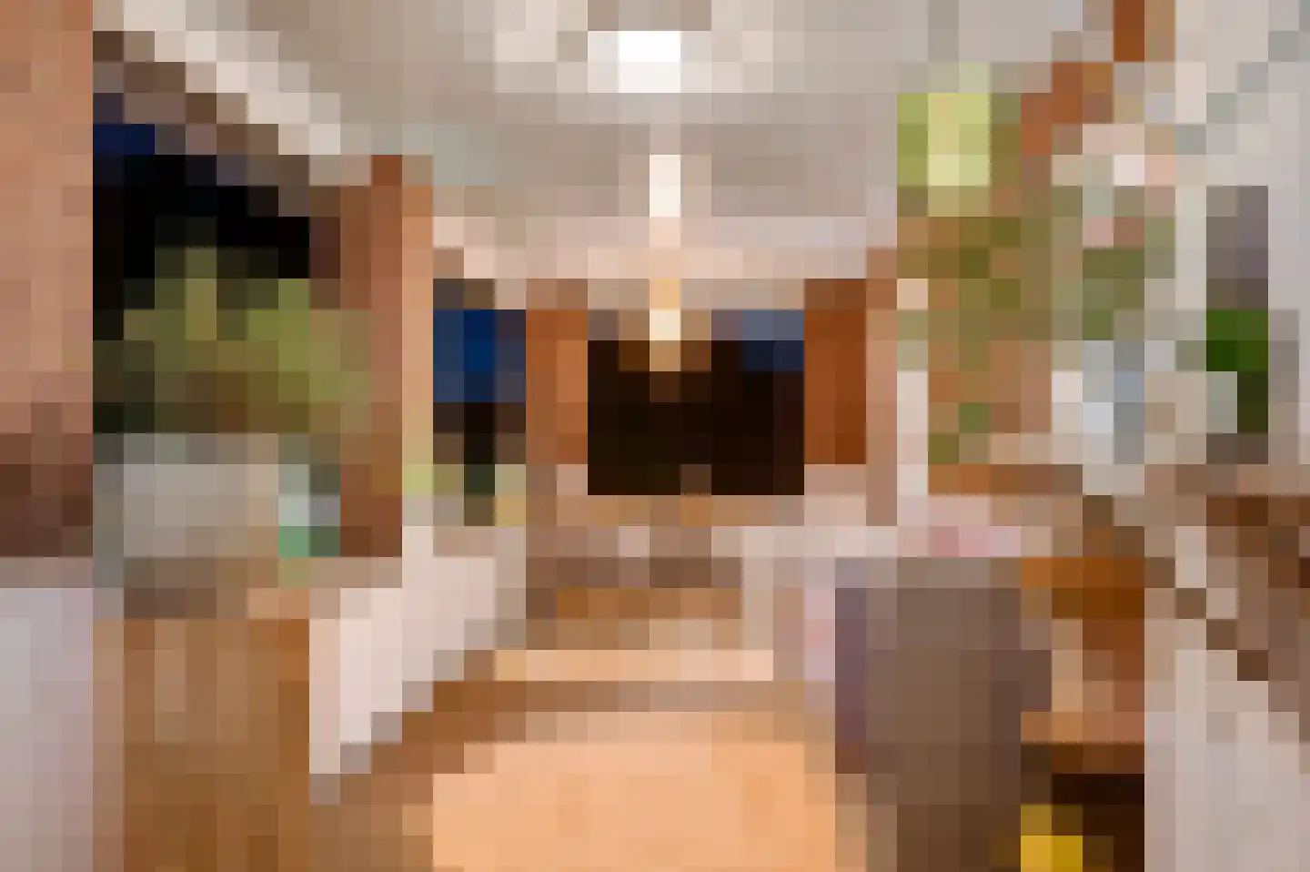 Broekstraat 23 Herten thumbnail 98