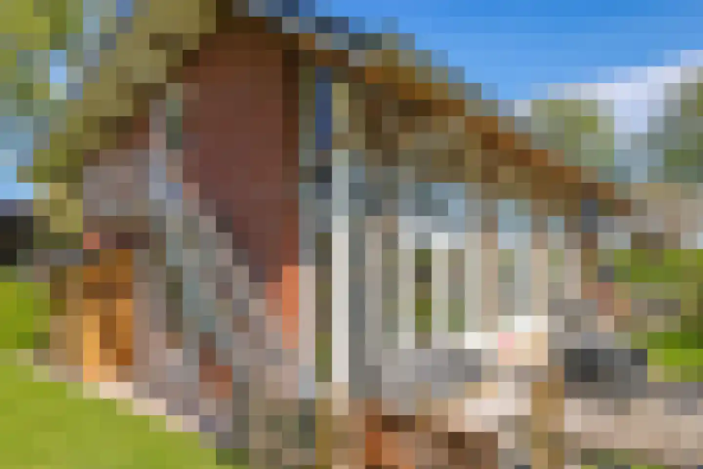 Broekstraat 24 Valburg thumbnail 119