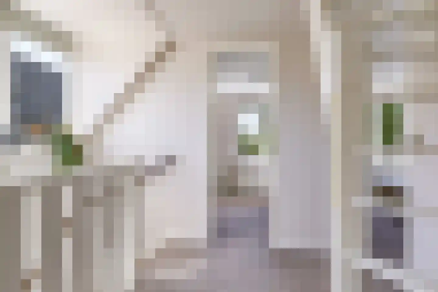 Broekstraat 24 Valburg thumbnail 38