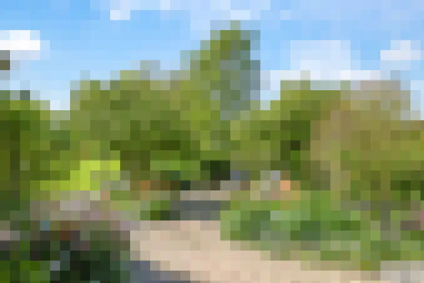 Broekstraat 24 Valburg thumbnail 53