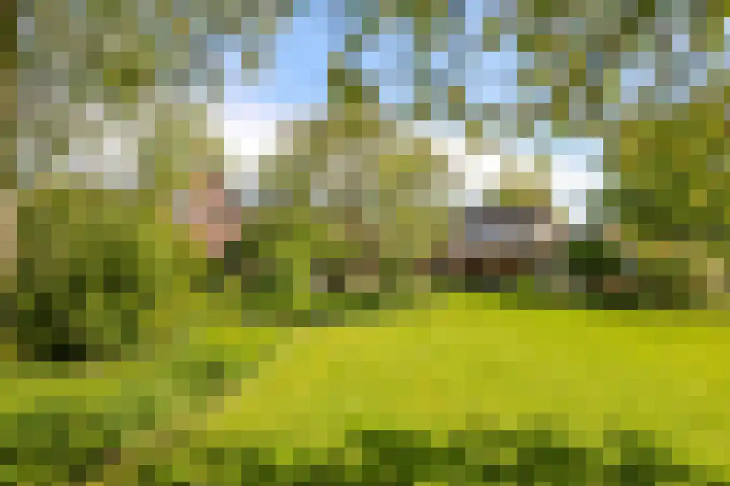 Broekstraat 24 Valburg thumbnail 68