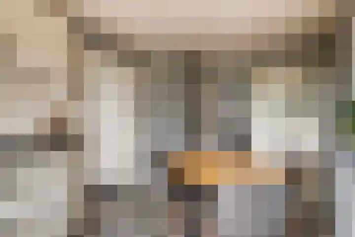 Broekstraat 25 Hernen thumbnail 17