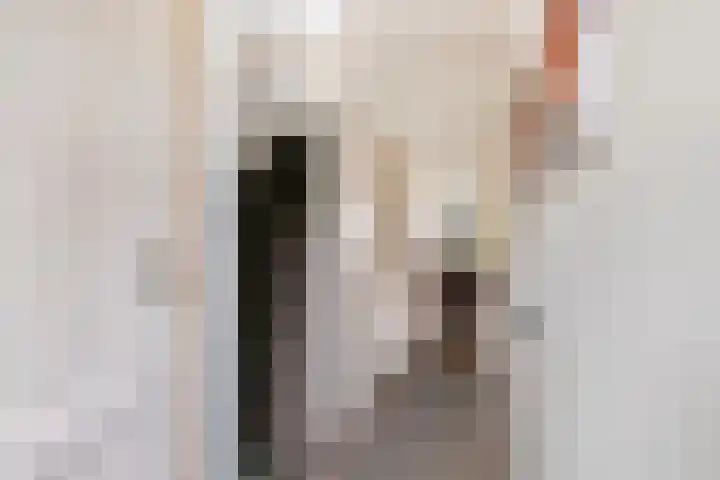 Broekstraat 25 Hernen thumbnail 23