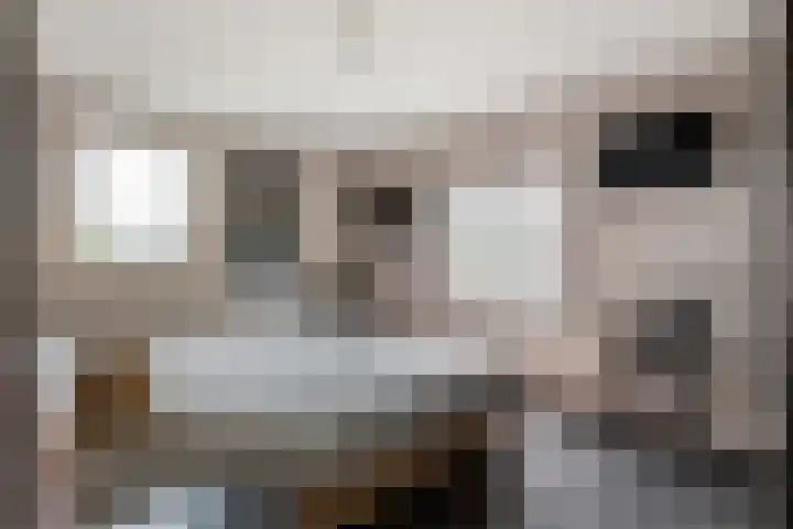 Broekstraat 25 Hernen thumbnail 24