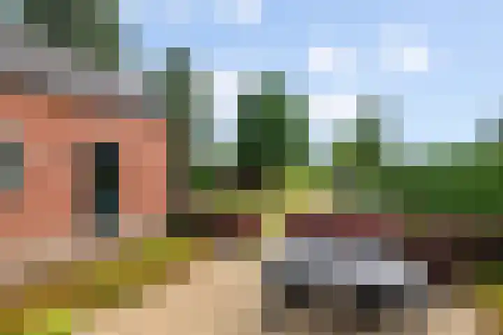 Broekstraat 25 Hernen thumbnail 34