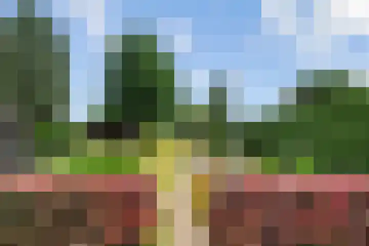 Broekstraat 25 Hernen thumbnail 35