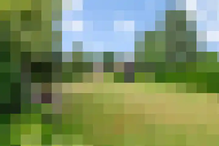 Broekstraat 25 Hernen thumbnail 37