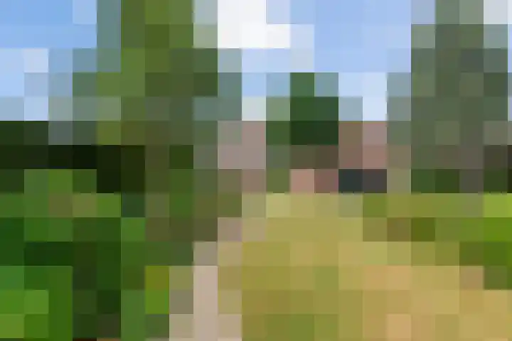 Broekstraat 25 Hernen thumbnail 38