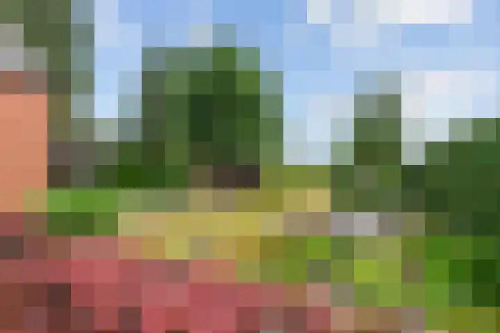 Broekstraat 25 Hernen thumbnail 4