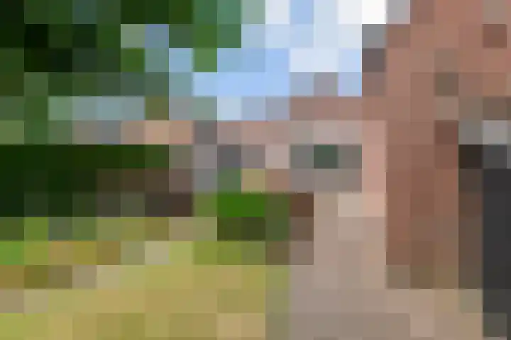 Broekstraat 25 Hernen thumbnail 42