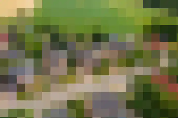 Broekstraat 25 Hernen thumbnail 44