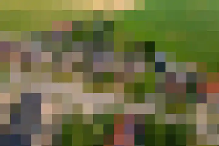 Broekstraat 25 Hernen thumbnail 51