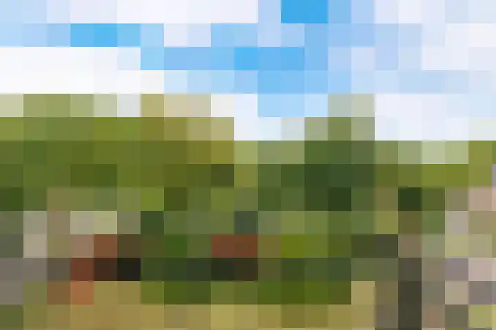 Broekstraat 25 Nijmegen foto 3