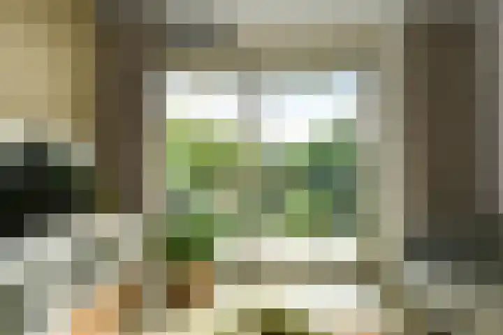 Broekstraat 25 Nijmegen thumbnail 5