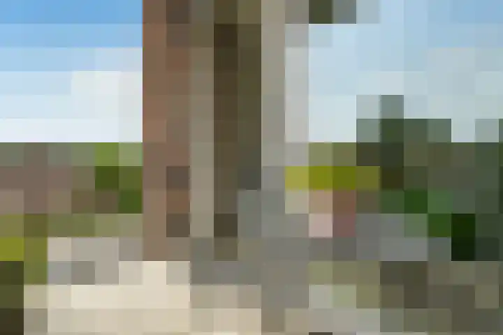 Broekstraat 25 Nijmegen thumbnail 9