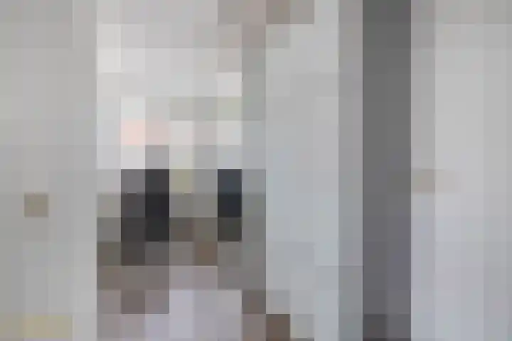 Broekstraat 28 Maasbree thumbnail 14