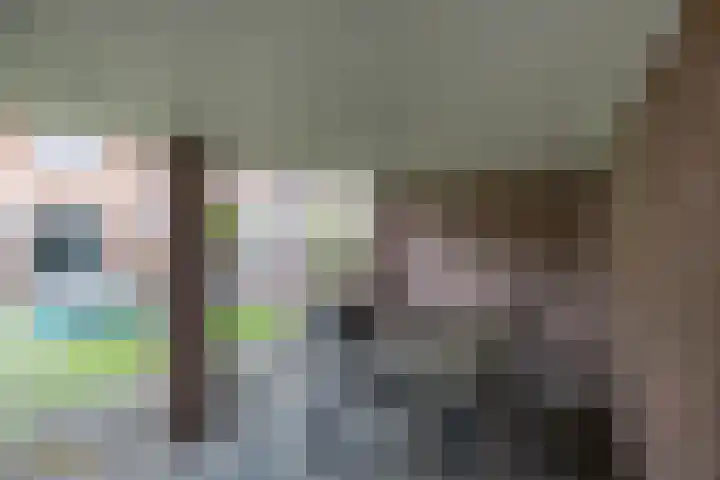 Broekstraat 28 Maasbree thumbnail 23