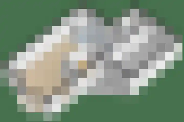 Broekstraat 28 Maasbree thumbnail 31