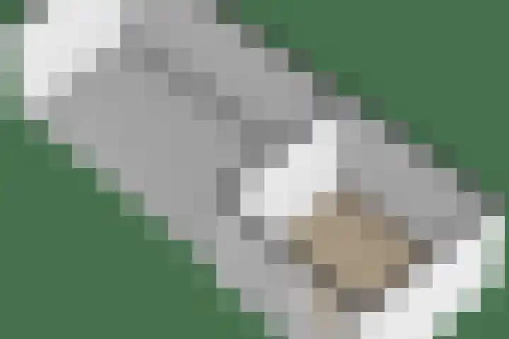 Broekstraat 28 Maasbree thumbnail 34
