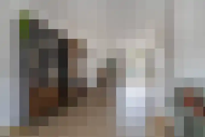 Broekstraat 28 Maasbree thumbnail 5