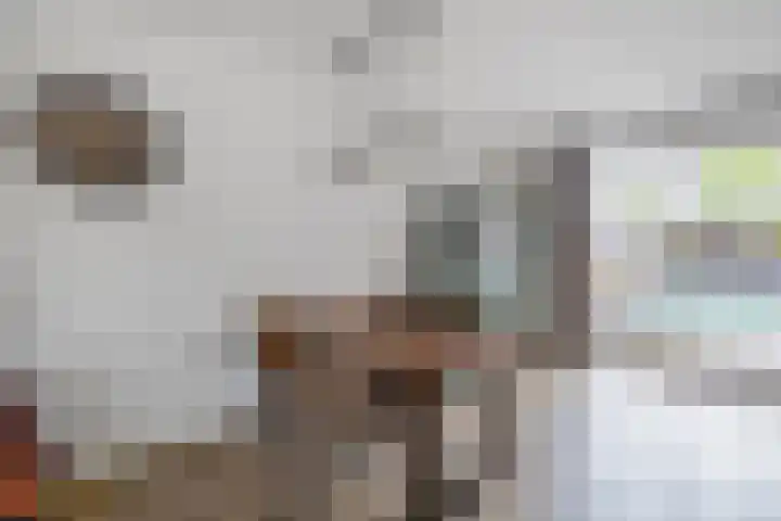 Broekstraat 28 Maasbree thumbnail 6