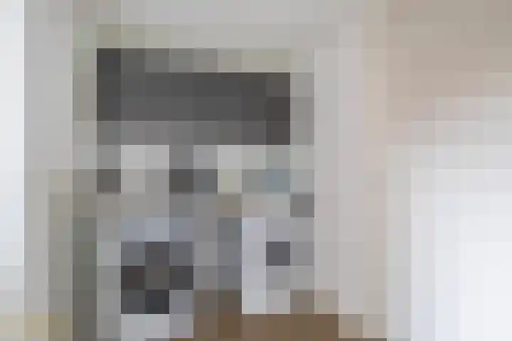 Broekstraat 28 Maasbree thumbnail 8