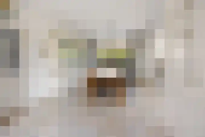 Broekstraat 29 Hernen thumbnail 11