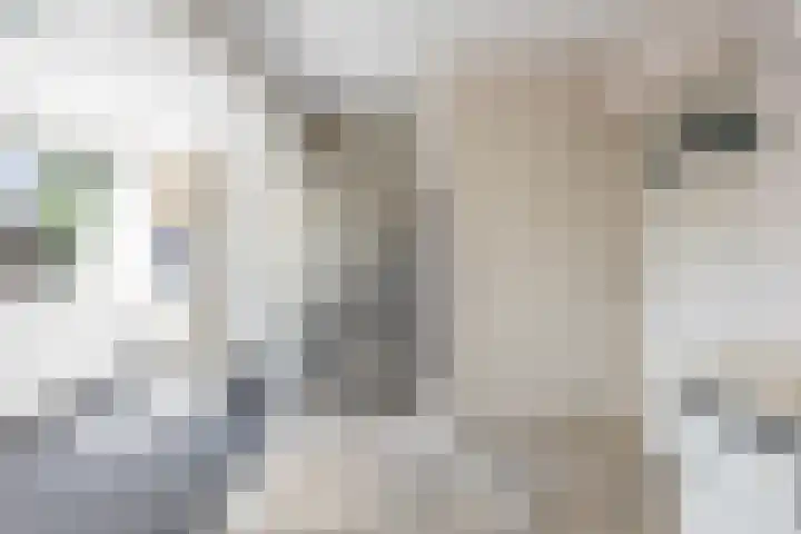 Broekstraat 29 Hernen thumbnail 17