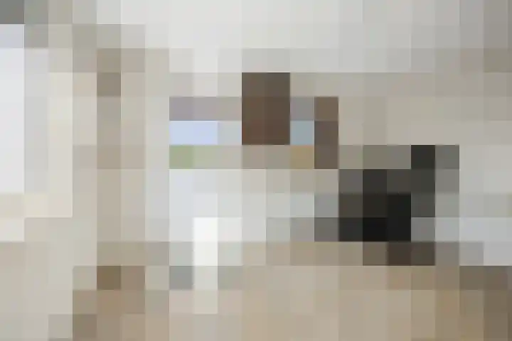 Broekstraat 29 Hernen thumbnail 21
