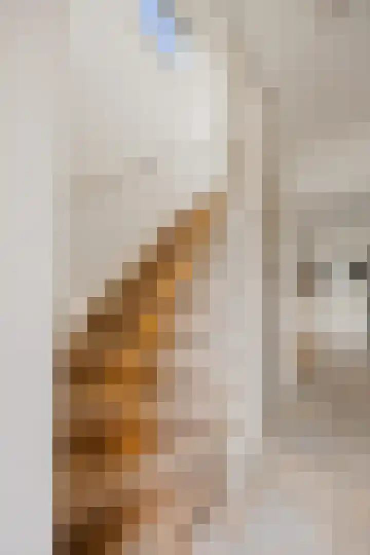 Broekstraat 29 Hernen thumbnail 28
