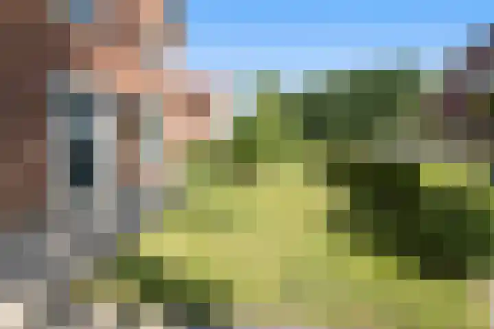 Broekstraat 29 Hernen thumbnail 46