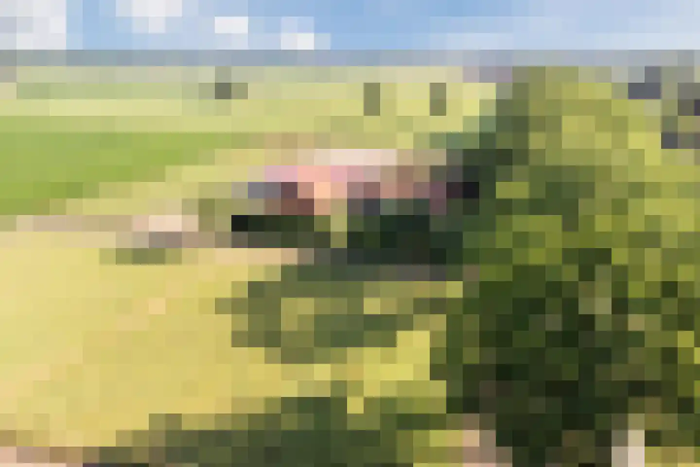Broekstraat 3 Lochem thumbnail 4