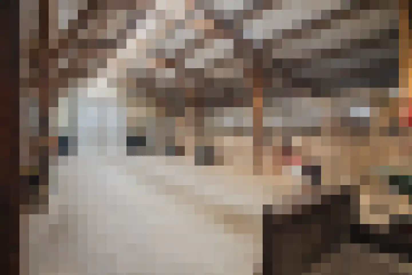 Broekstraat 3 Lochem thumbnail 46