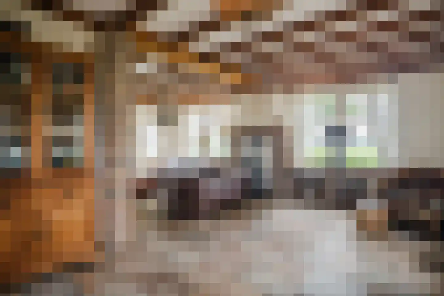 Broekstraat 3 Lochem thumbnail 8