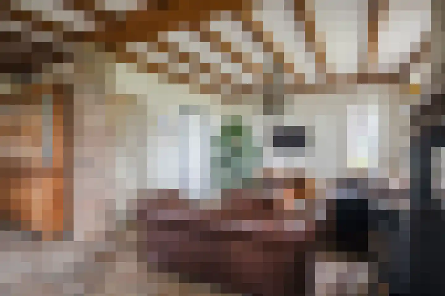 Broekstraat 3 Lochem thumbnail 9