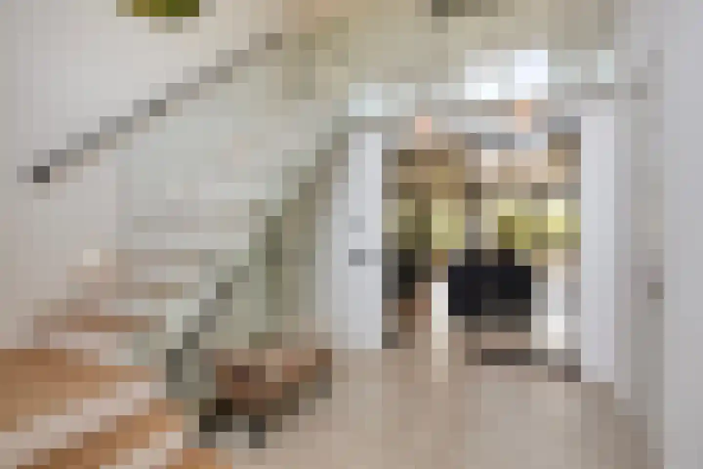 Broekstraat 34 Mierlo thumbnail 10