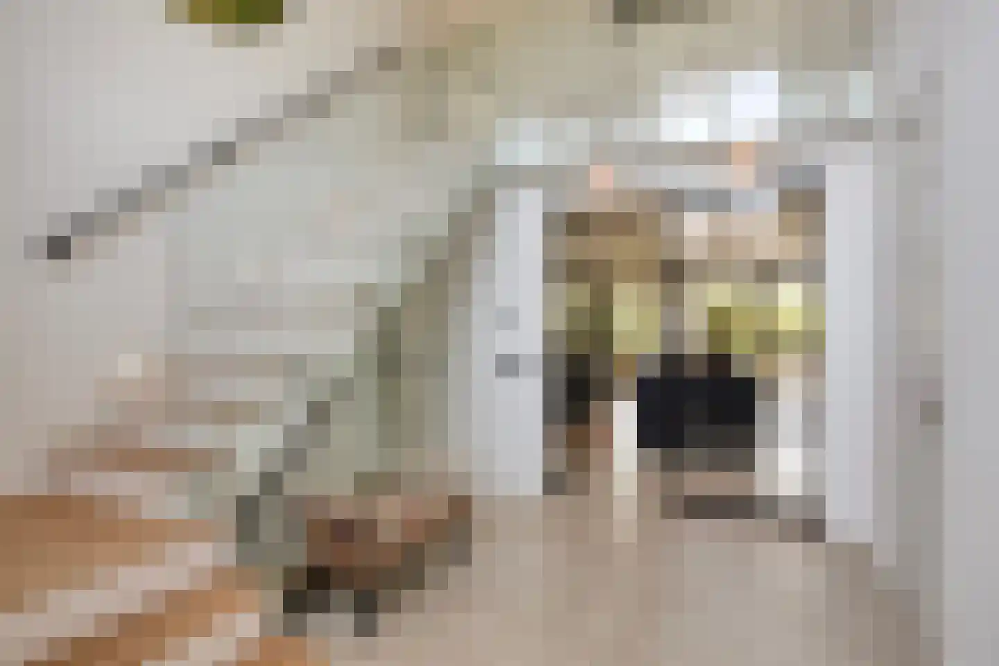 Broekstraat 34 Mierlo thumbnail 10