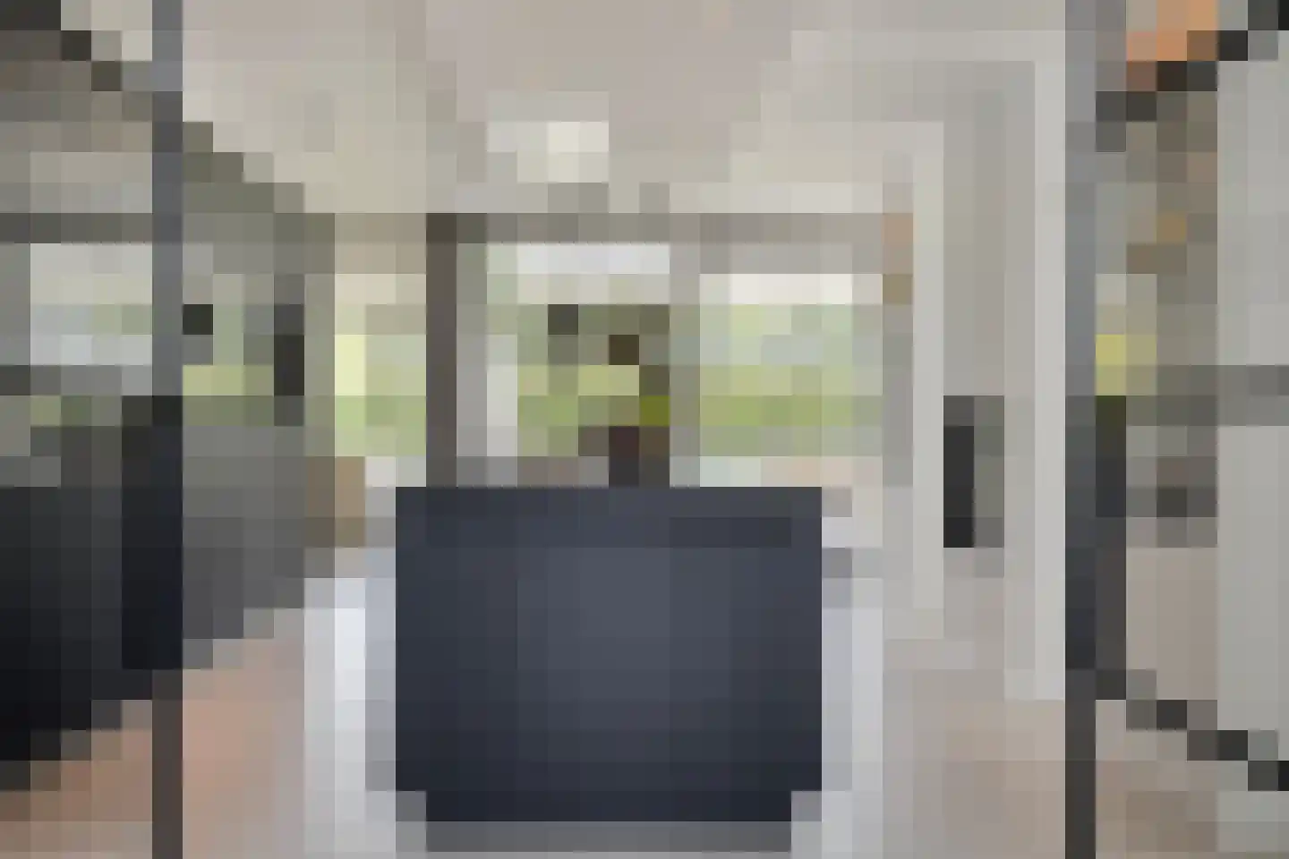 Broekstraat 34 Mierlo thumbnail 12
