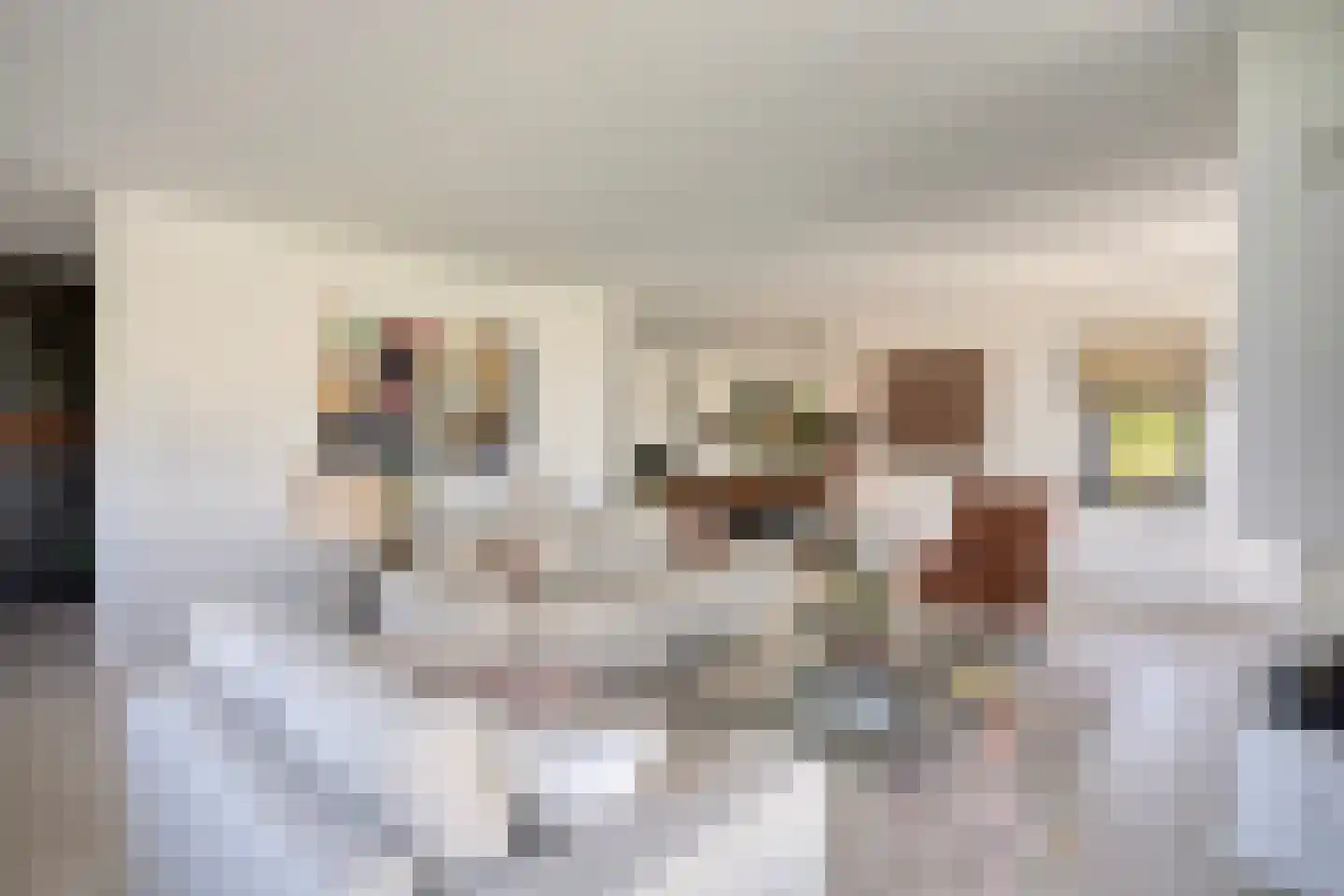 Broekstraat 34 Mierlo thumbnail 14