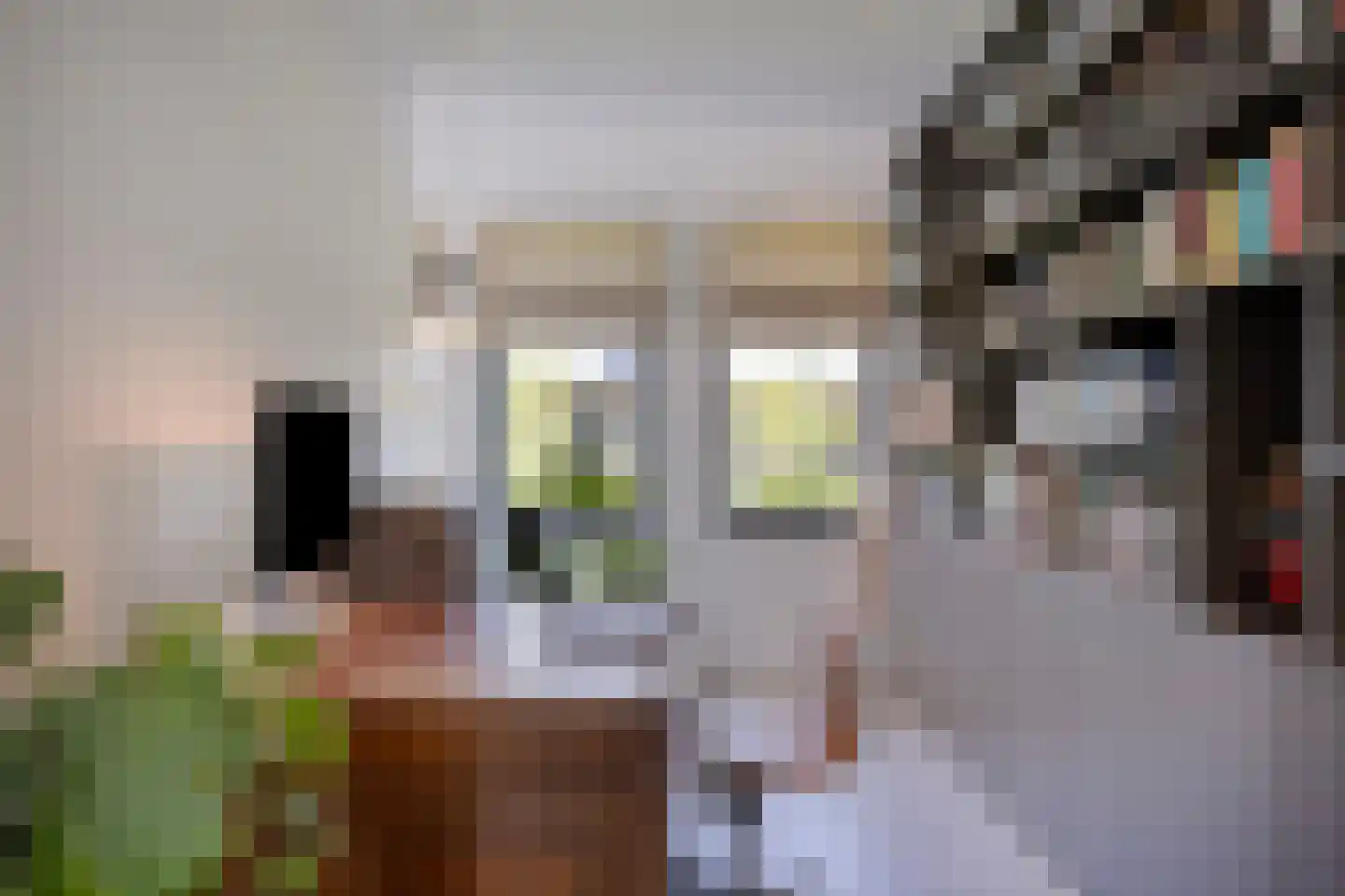 Broekstraat 34 Mierlo thumbnail 15