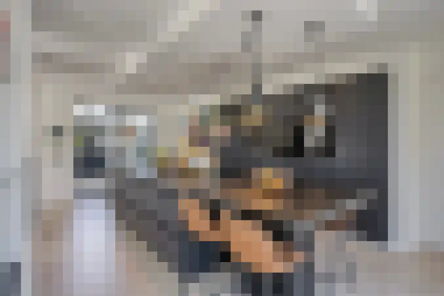 Broekstraat 34 Mierlo thumbnail 18