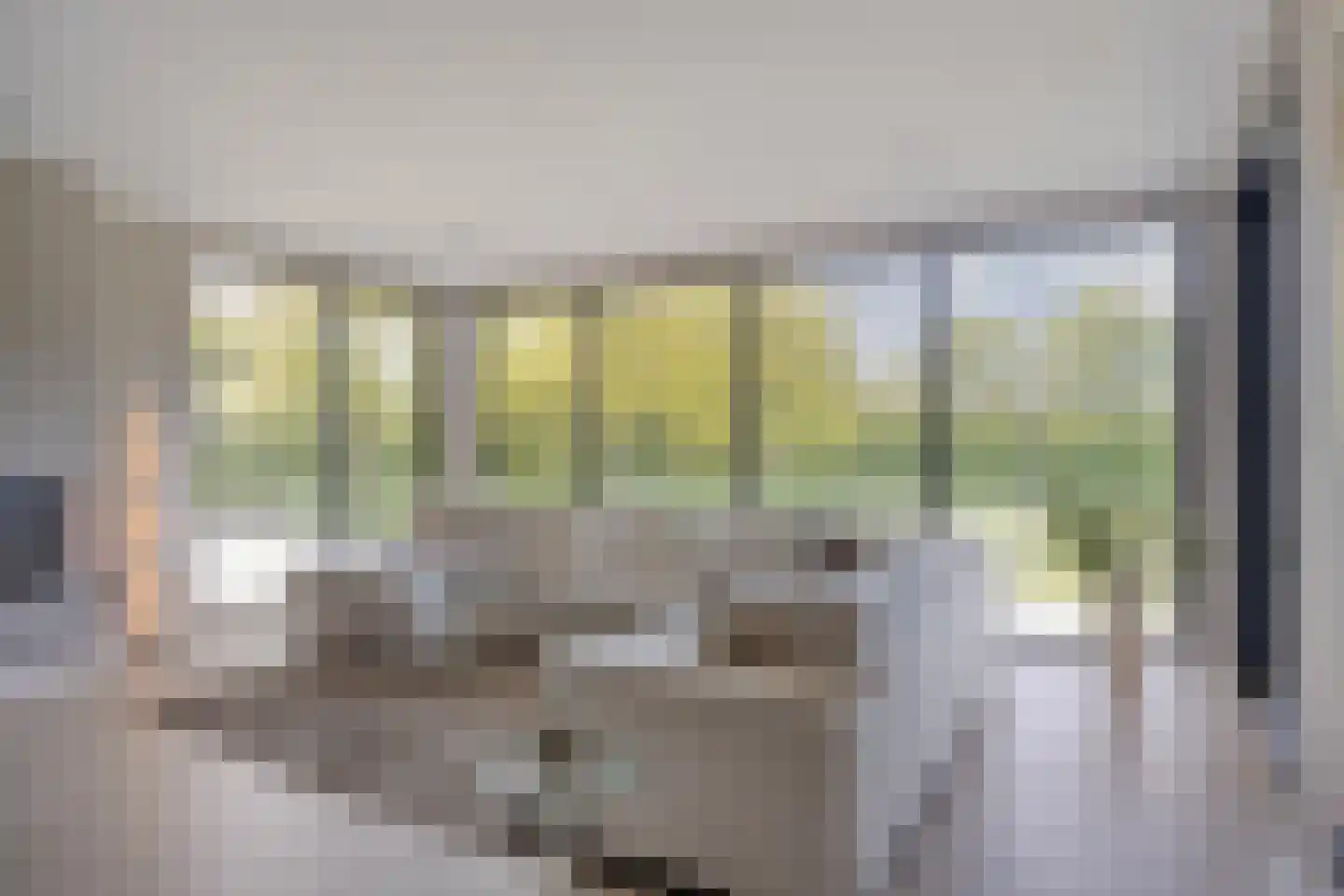 Broekstraat 34 Mierlo thumbnail 19