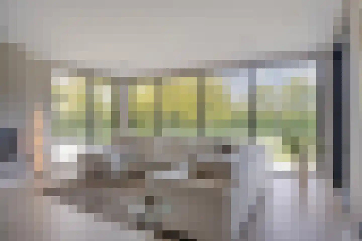 Broekstraat 34 Mierlo thumbnail 20