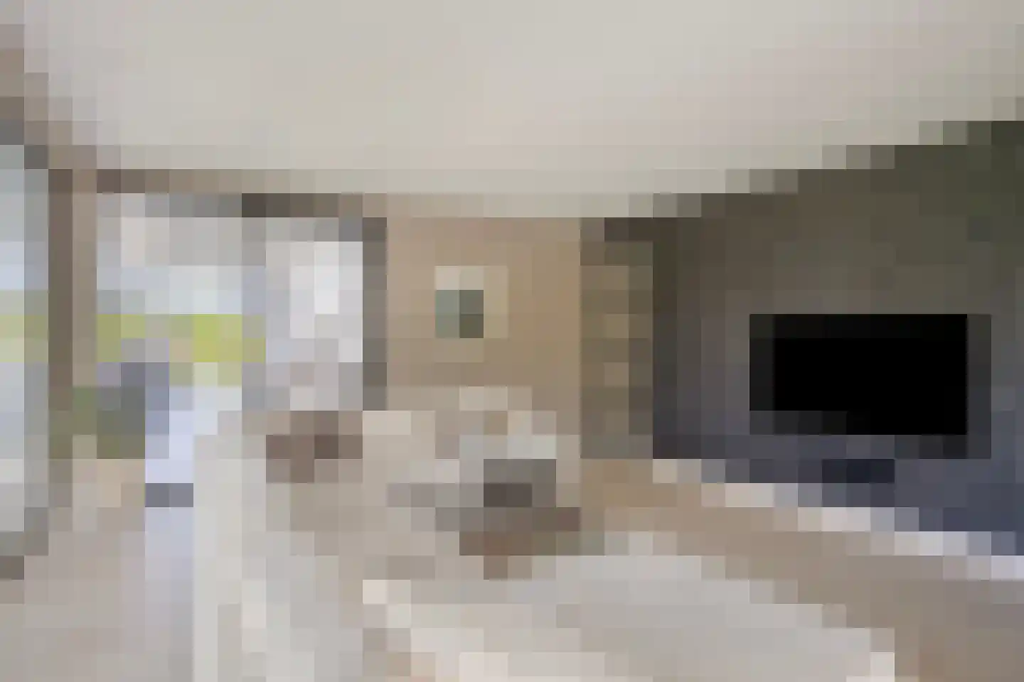 Broekstraat 34 Mierlo thumbnail 20
